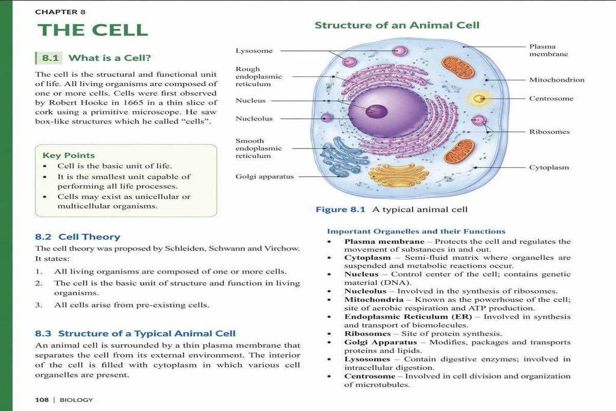 Why Class 11 Biology Suddenly Feels Like a Different Subject Altogether